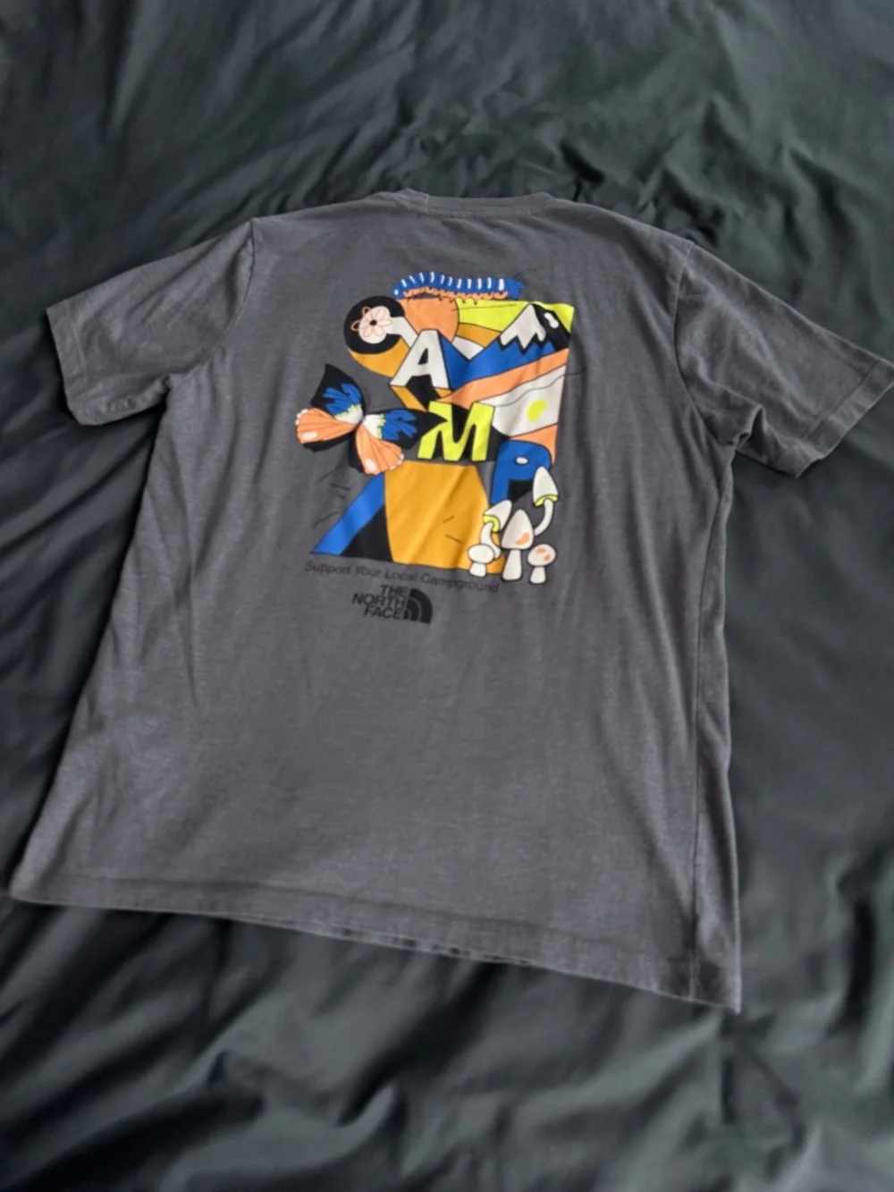 The North Face gray north
